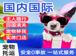 呼和浩特航空快运国际宠物托运 【国
